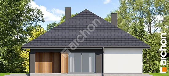 Elewacja boczna projekt dom w litodorach 4 02b9928c1b446942202078f1e9ab8c28  266