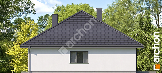 Elewacja boczna projekt dom w litodorach 4 111a4db7c46e6856efa63a03b0a3ebf6  265