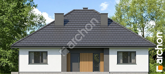 Elewacja frontowa projekt dom w litodorach 4 c1a340fb716405a948239987406f6610  264