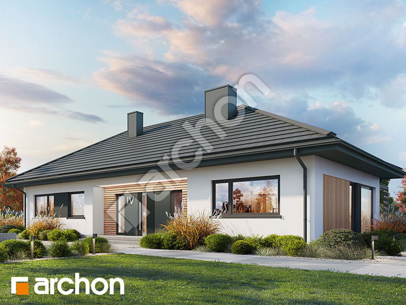 gotowy projekt Dom w kosaćcach 50 widok 2