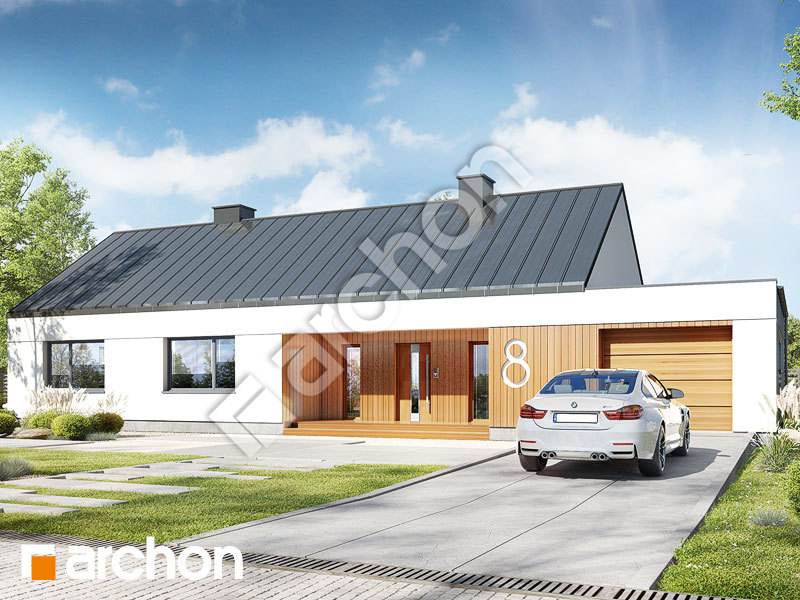 gotowy projekt Dom w pióropusznikach widok 1