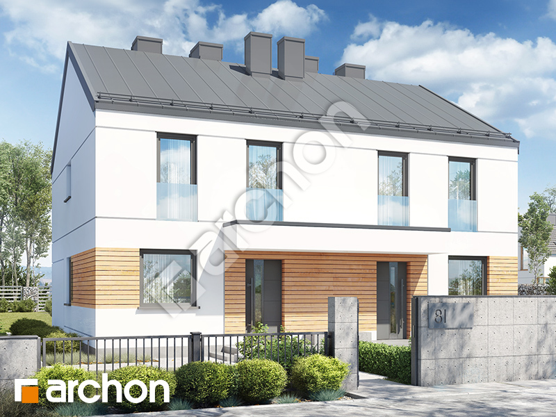 gotowy projekt Dom w tunbergiach (R2) widok 1