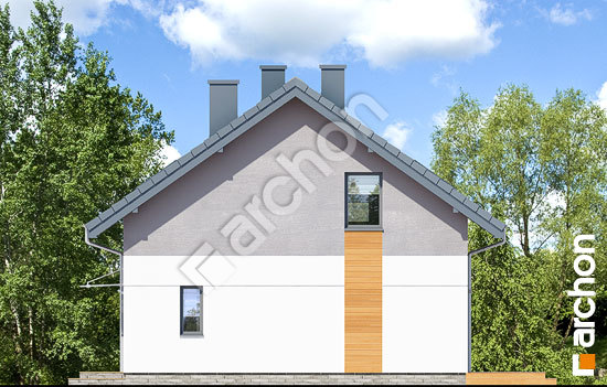 Elewacja boczna projekt dom w arkadiach e9bd1a2f76c86275db5a718ca1cab4f6  265