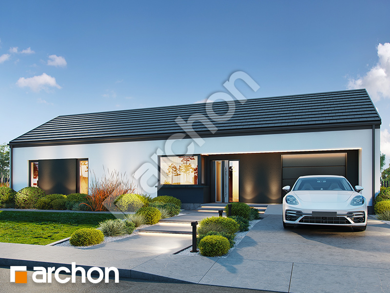 gotowy projekt Dom w dracenach 5 (GE) widok 1