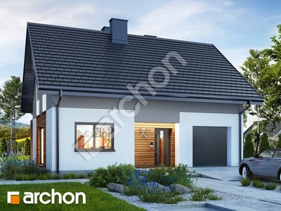 gotowy projekt Dom w lucernie 10 (T) 