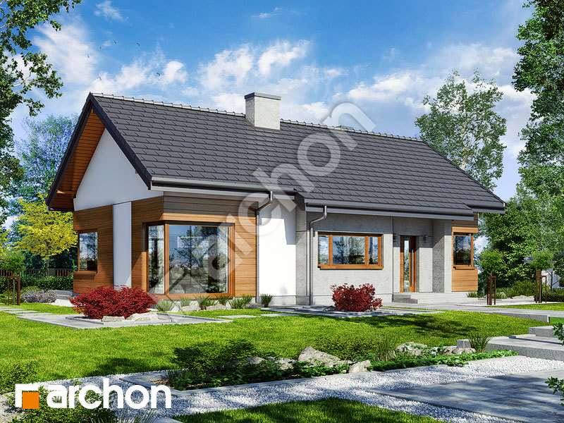 gotowy projekt Dom w galach widok 2