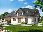 gotowy projekt Dom w aloesie 3 Stylizacja 3