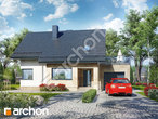 gotowy projekt Dom w arizemach Stylizacja 3