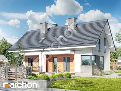 gotowy projekt Dom w borówkach (R2N) 