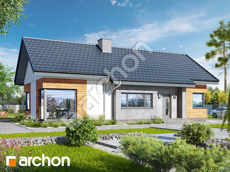 gotowy projekt Dom w galach 3 (P) widok 1
