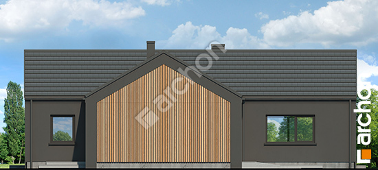 Elewacja boczna projekt dom w rarytasach 3 ge db2fd5927801da4a712b5e5800ad059e  266