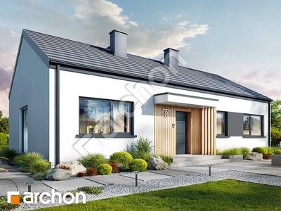 gotowy projekt Dom w kruszczykach 19 (A) 