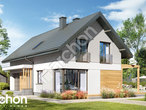 gotowy projekt Dom w trytomach (G) dodatkowa wizualizacja
