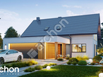 gotowy projekt Dom w miskantach 3 (G2E) Stylizacja 3