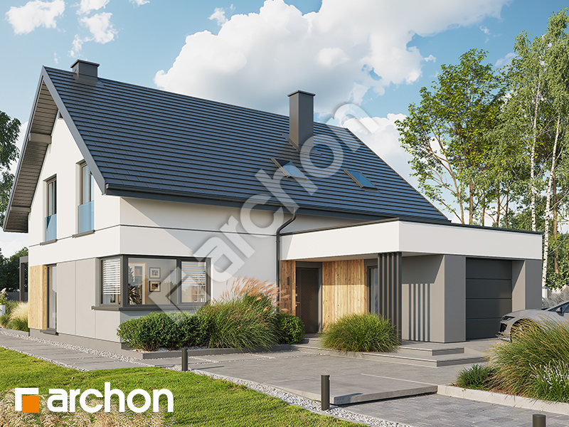 gotowy projekt Dom w kaldezjach 3 (GE) widok 1