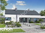 gotowy projekt Dom w peperomiach 5 (G2) Stylizacja 4
