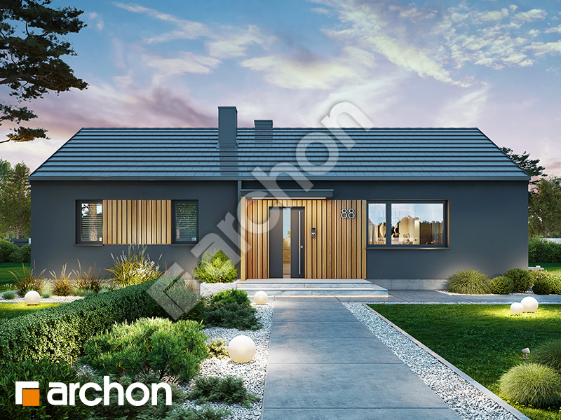 gotowy projekt Dom w kosaćcach 55 (E) widok 2