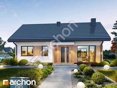 gotowy projekt Dom w kosaćcach 54 (E) 