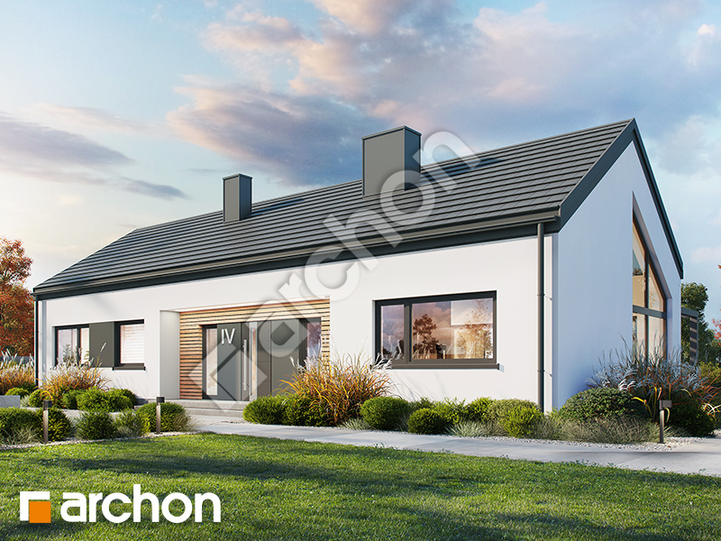 gotowy projekt Dom w kosaćcach 16 (NA) widok 2