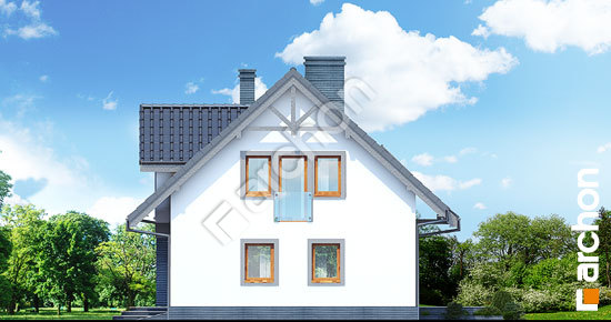 Elewacja boczna projekt dom w lucernie g2t 2953d54393ef309ed48b3ade9f6ae852  265
