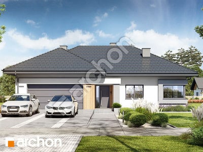 gotowy projekt Dom w dziurawcach 