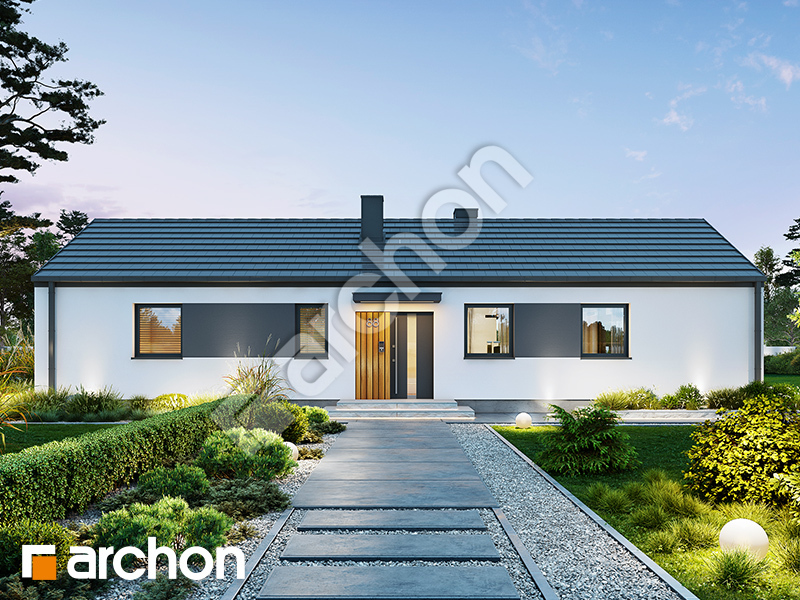 gotowy projekt Dom w supertuniach (E) widok 2