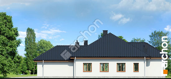 Elewacja boczna projekt dom w nasturcjach ver 2 c701c6207cc01e8890aa5da2bb135618  265