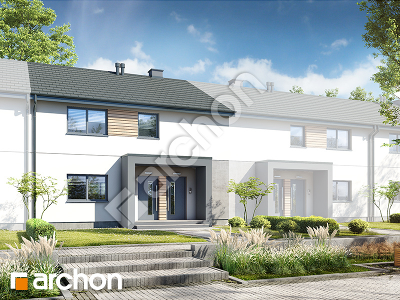 gotowy projekt Dom w pileach  (R2SE) widok 1