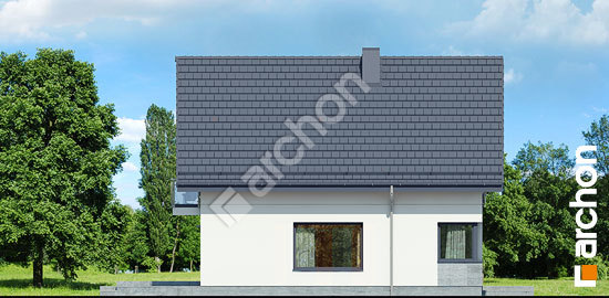 Elewacja boczna projekt dom w miodownikach 2 d91ec013d91c281a6b6dd4b6c608593d  266