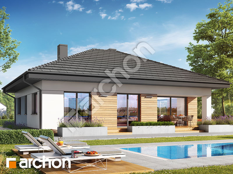 gotowy projekt Dom w modrzykach 2 (W) widok 2